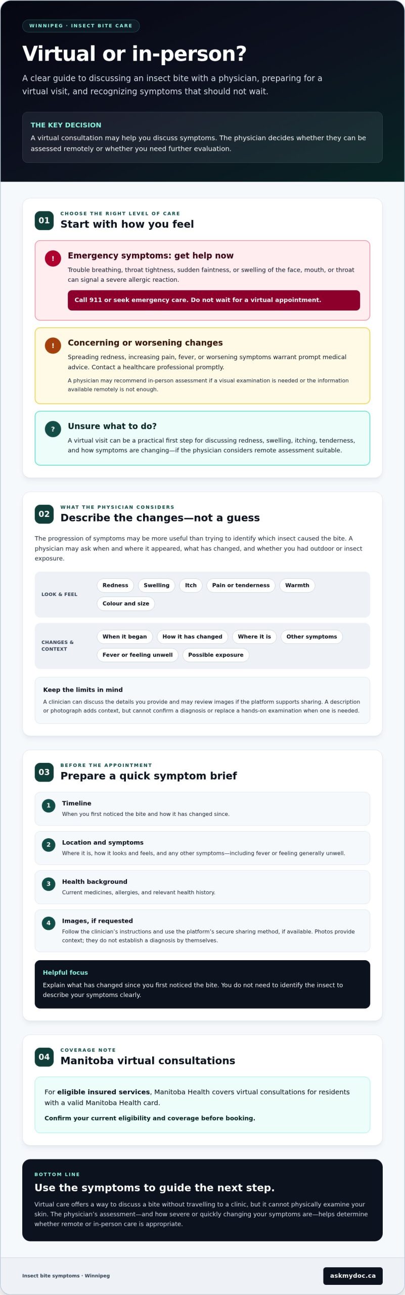 Virtual Consultation for Insect Bites in Winnipeg: What to Expect - Infographic